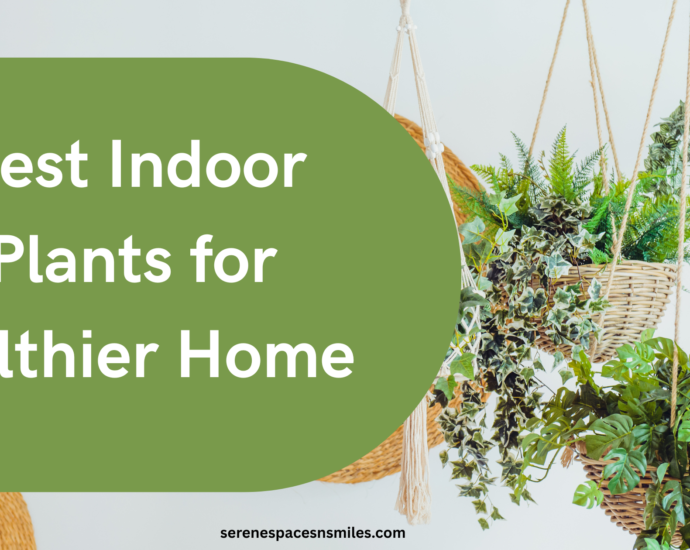 Best Indoor Plants for Healthier Home